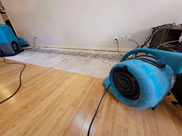 Professional Basement Flood Cleanup technician working in Georgetown, MS